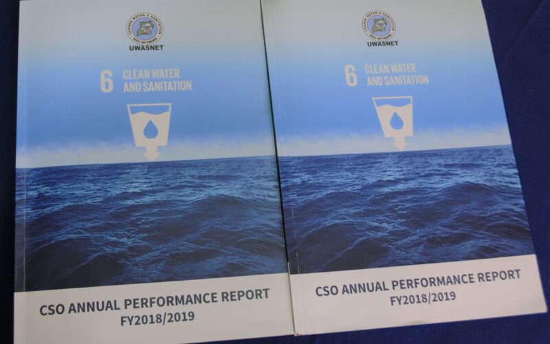The 2019 Annual CSO Performance Report